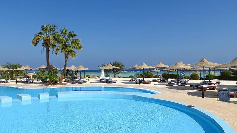 Resort swimming pool with palm trees and sun loungers by the sea